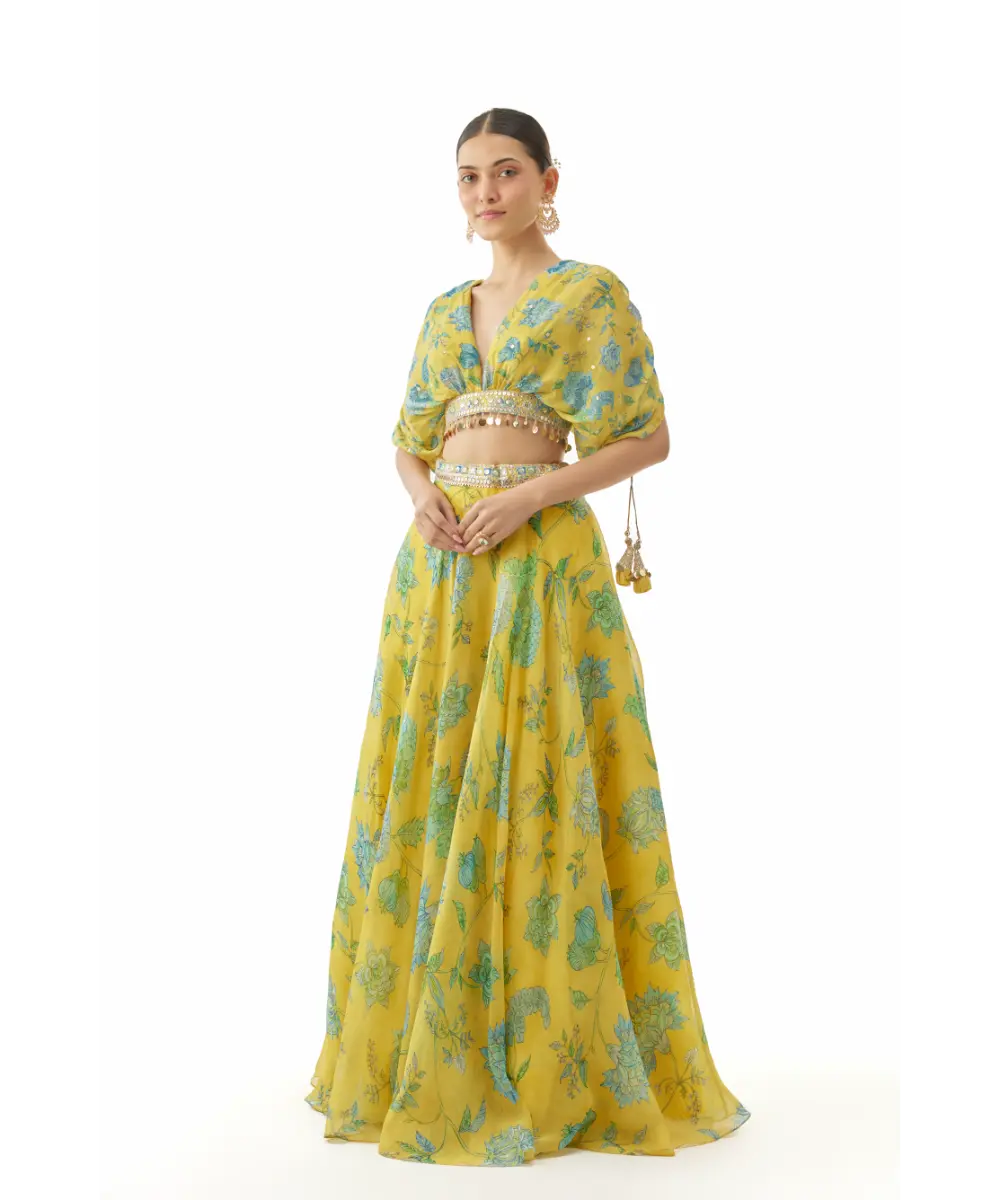 GOPI VAID - Vandana lehenga set